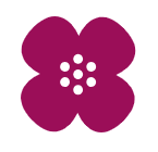 Helsingin ja uudenmaan näkövammaisten liitto logo